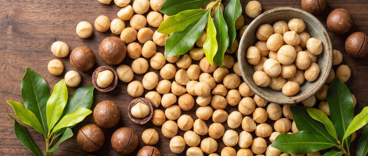 Macadamia Nuts