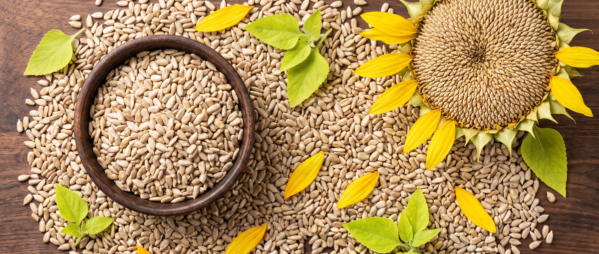 Sunflower Seeds