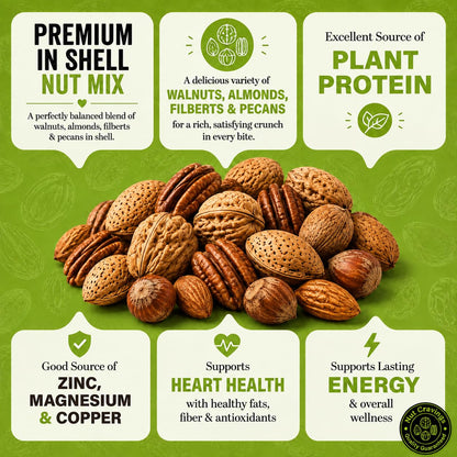 Raw Mixed Nuts, In Shell — No Brazil Nuts (Walnut, Almond, Filbert & Pecan) — photo 3