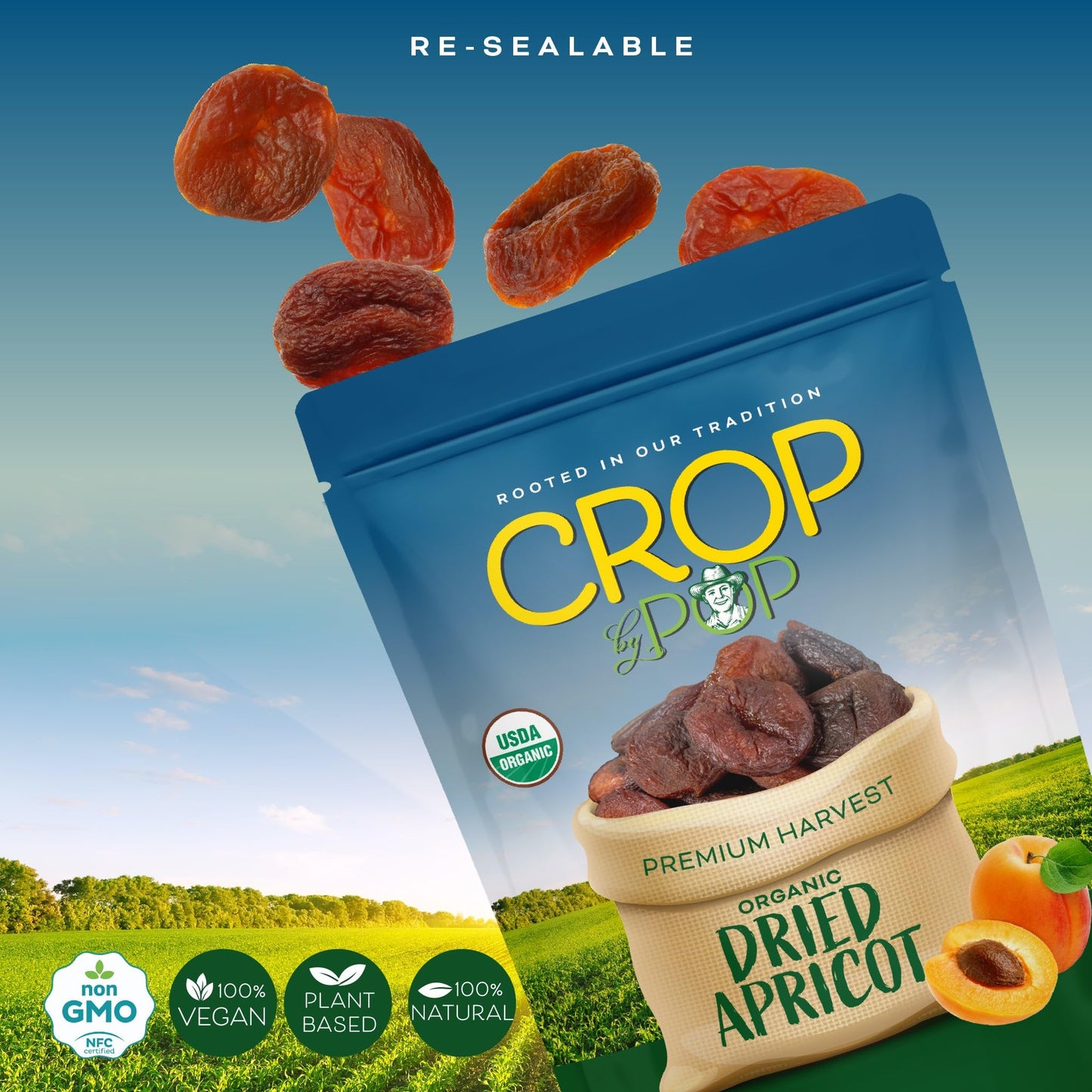Organic Sun Dried Apricots, No Sugar Added, Unsulphured Sweet Healthy Snack, USDA Organic, Non GMO, Vegan… — view 4