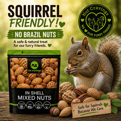 Raw Mixed Nuts, In Shell — No Brazil Nuts (Walnut, Almond, Filbert & Pecan) — photo 4