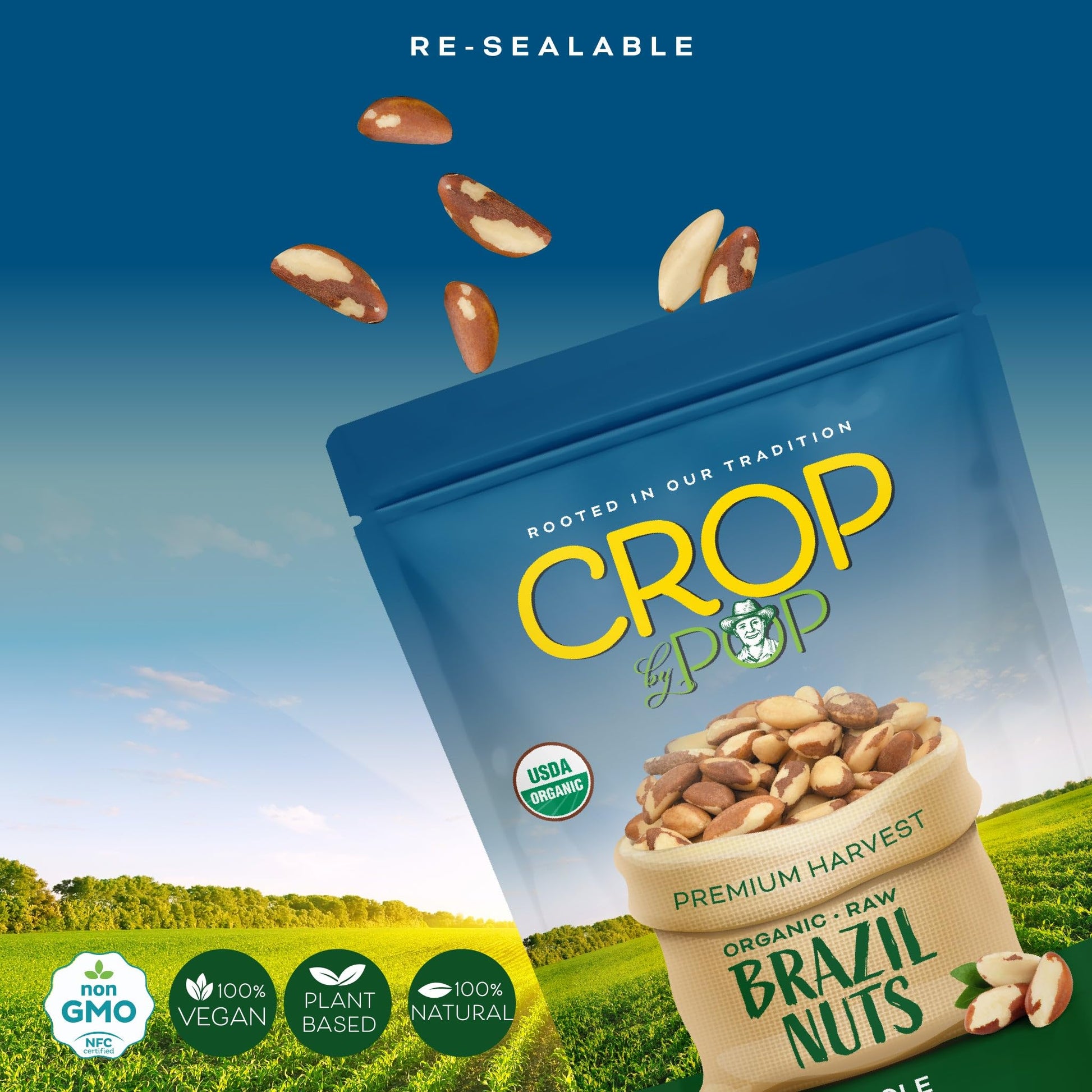 Organic Raw Brazil Nuts Packed Fresh in Resealable Bag - USDA Organic, Non GMO - Naturally Grown, Vegan,… — view 4