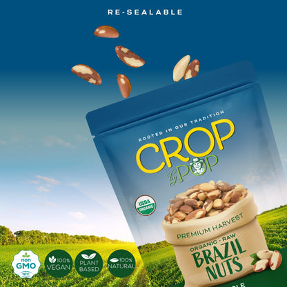 Organic Raw Brazil Nuts Packed Fresh in Resealable Bag - USDA Organic, Non GMO - Naturally Grown, Vegan,… — view 4