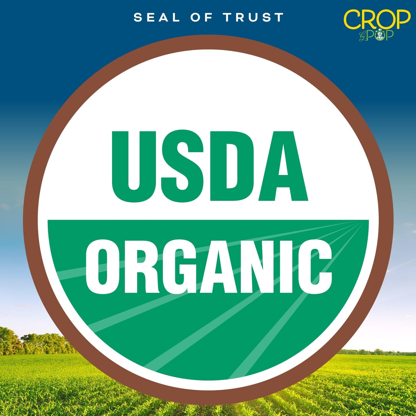 CROP BY POP - Organic Shredded Coconut Flakes, No Sugar Added, Medium Desiccated, Dry Packed Fresh in Resealable Bag - USDA Organic, Non GMO - Naturally Grown, Vegan, Kosher