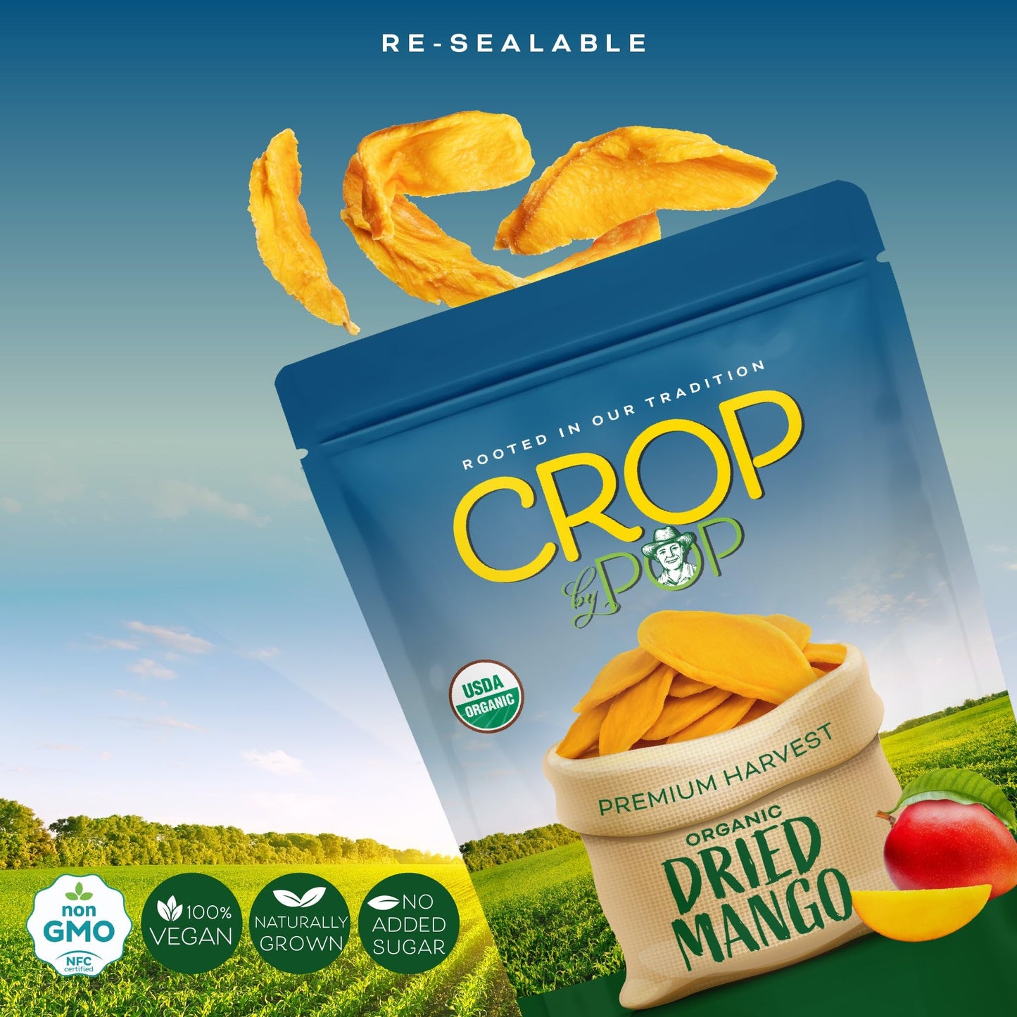 Organic Sun Dried Mango Slices, No Sugar Added, Unsulphured Sweet Healthy Snack, USDA Organic, Non GMO,… — view 4