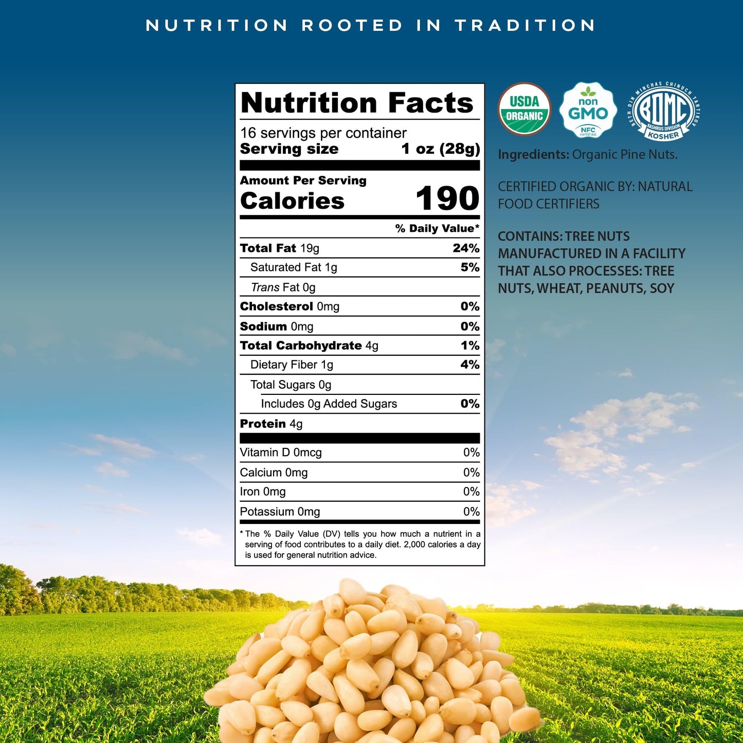 Organic Raw Pine Nuts Pignolias, Unsalted, Shelled, Packed Fresh in Resealable Bag - USDA Organic, Non GMO -… — view 3