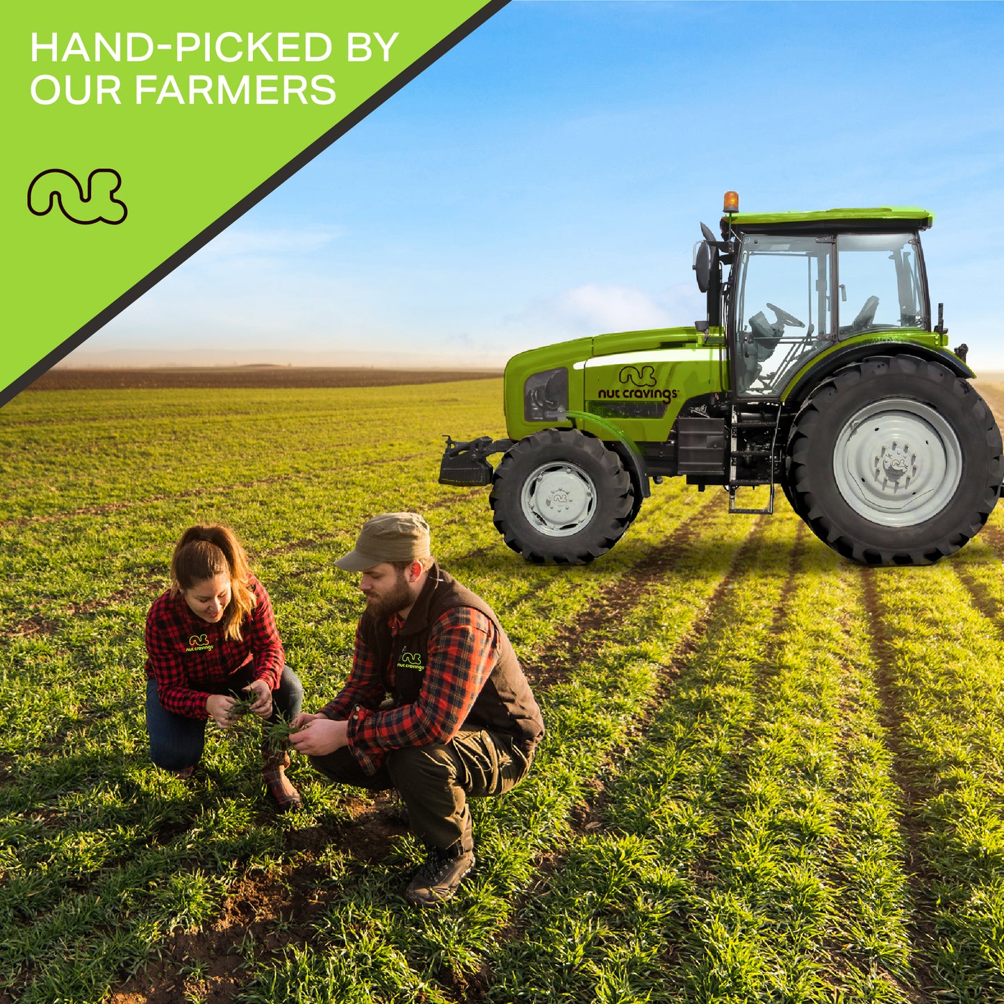 NUT CRAVINGS - Brazil Nuts Roasted & Salted - No Shell Whole Packed Fresh in Resealable Bag - Healthy Protein Food Snack Food Assortments