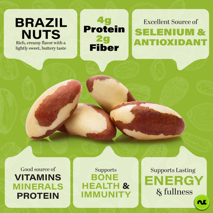 NUT CRAVINGS - Brazil Nuts Roasted & Salted - No Shell Whole Packed Fresh in Resealable Bag - Healthy Protein Food Snack Food Assortments