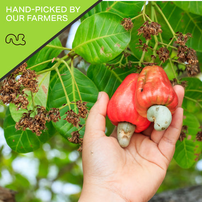 NUT CRAVINGS - Roasted Cashews Slightly Salted - Jumbo Whole Packed Fresh in Resealable Bag - Nut Snack - Food Assortments