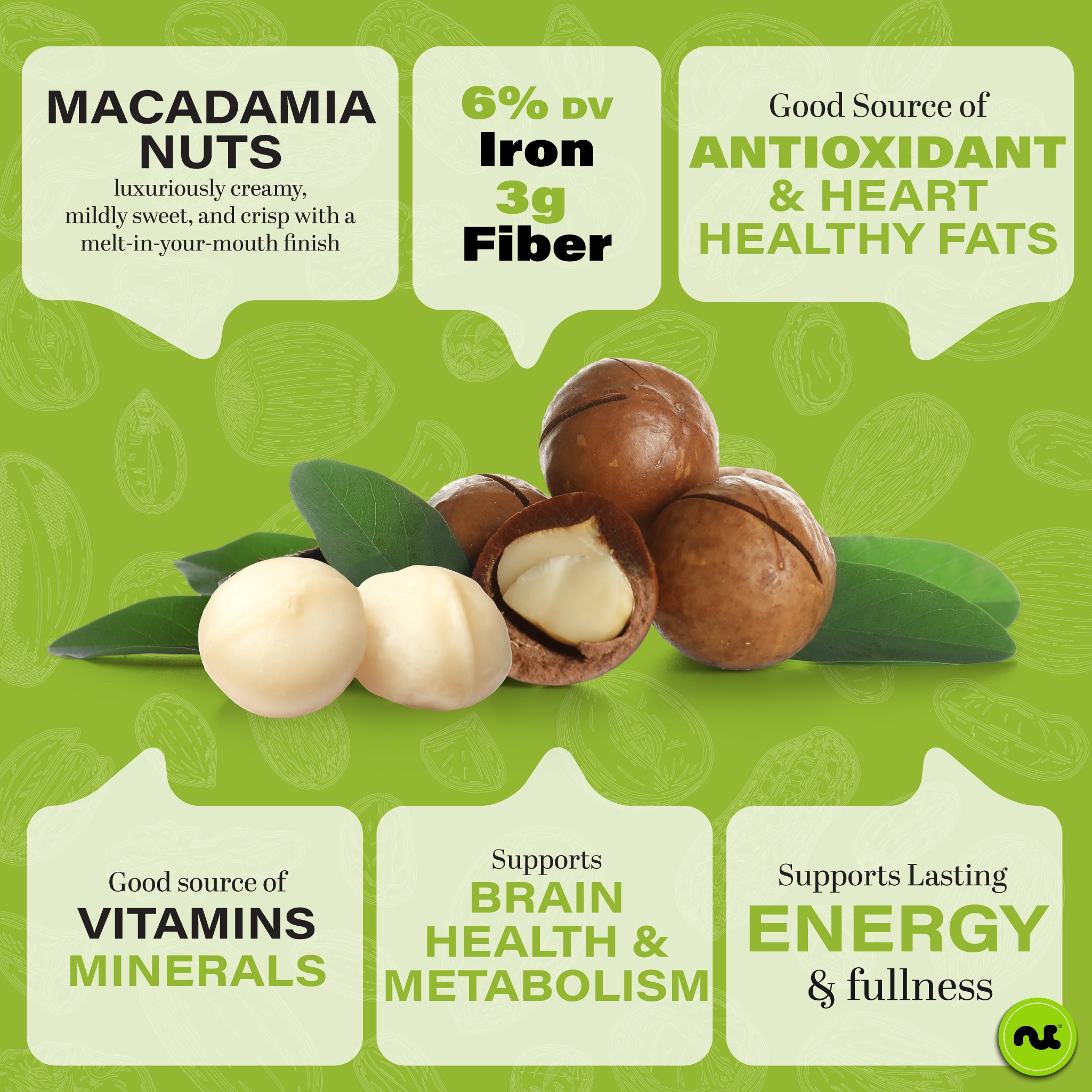 Roasted Macadamia Nuts — Salted – Nut Cravings