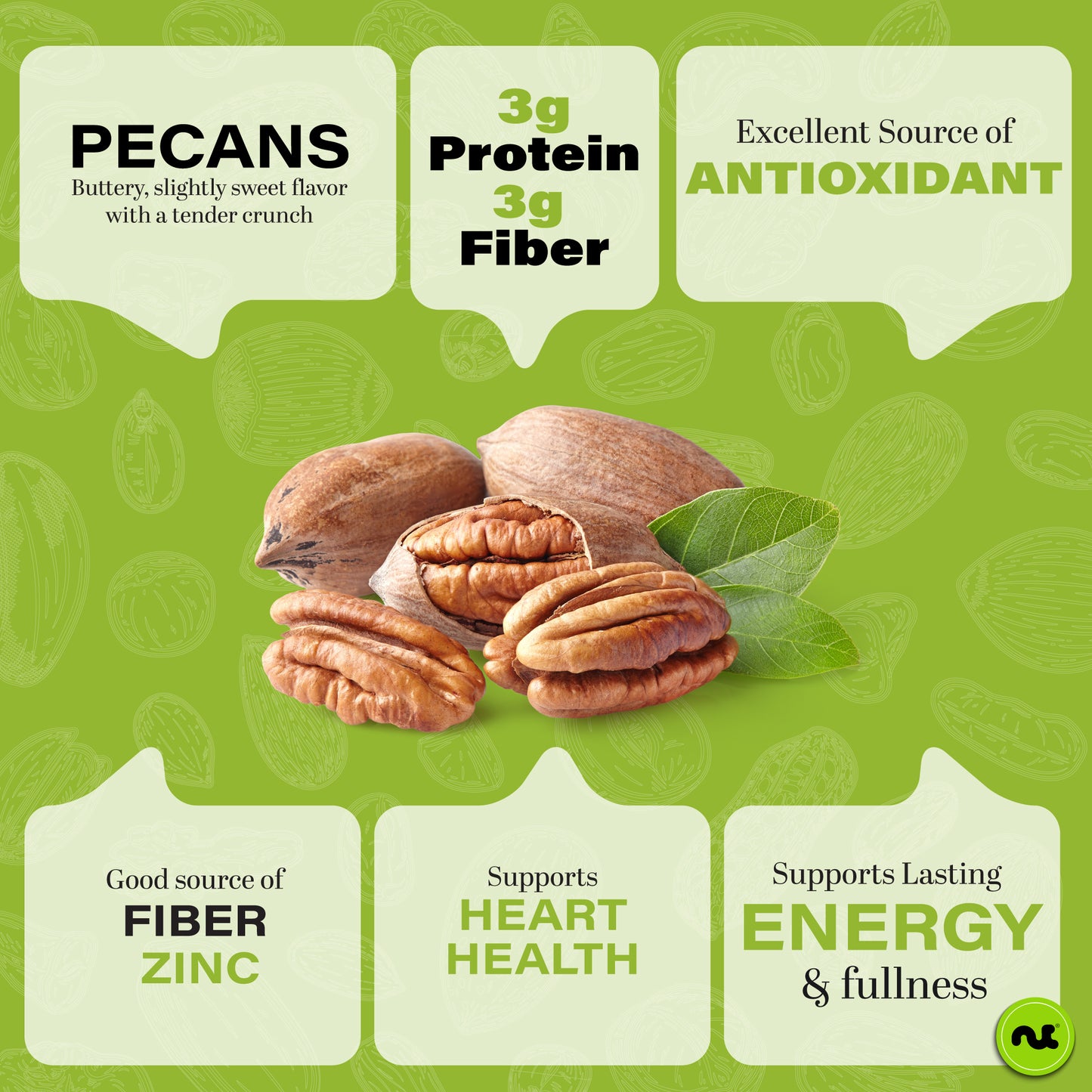 Pecans Halves Roasted & Salted No Shell Packed Fresh in Resealable Bag - Healthy Protein Food Snack Food… — view 5