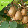 Dried Kiwi
