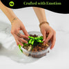 Green Ribbon Nut Sectional Tray Medium NCG100007