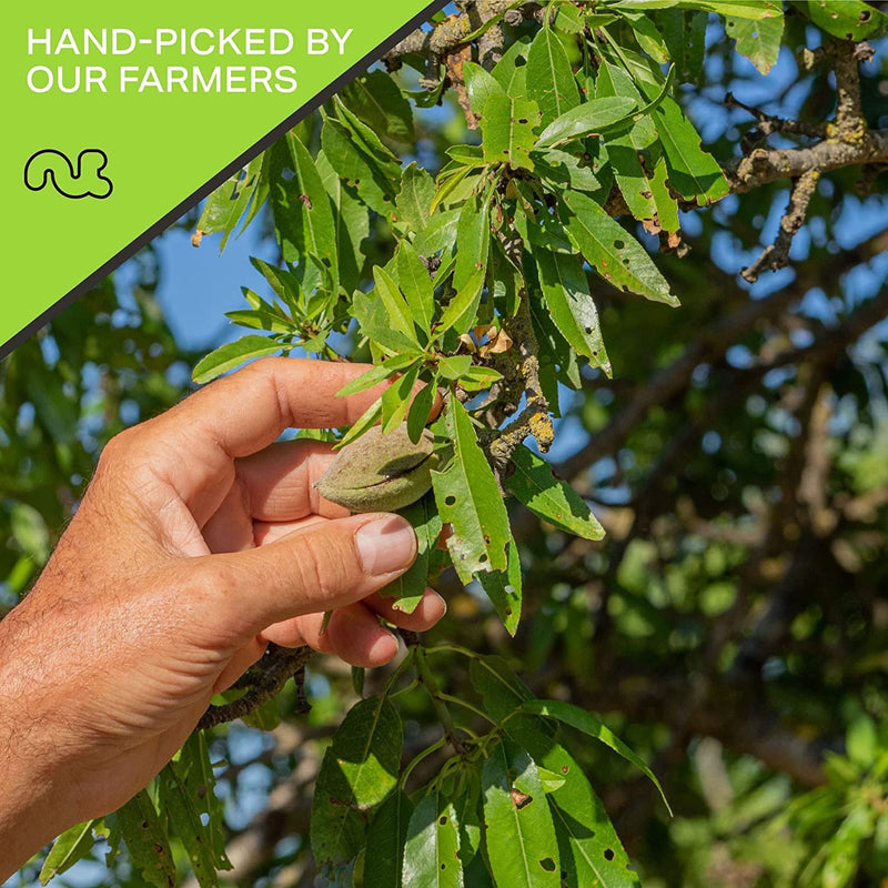 Raw Silvered Almonds